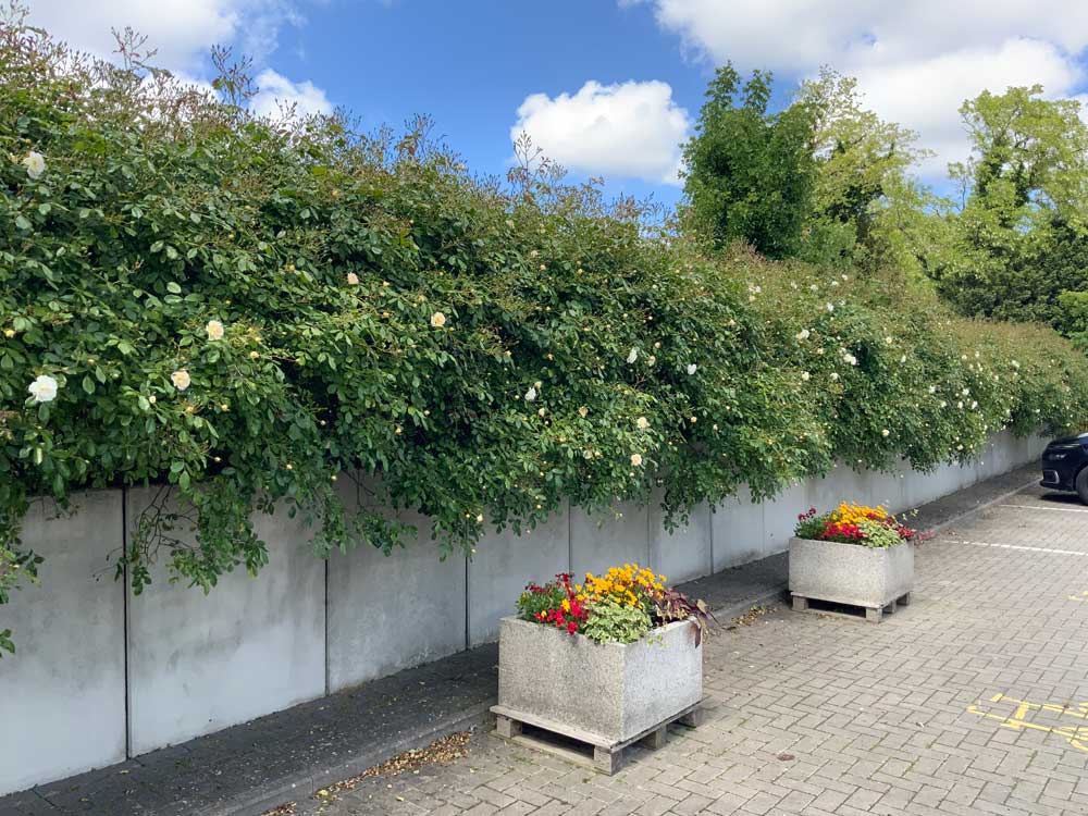 Botanischer Garten Wilhelmshaven