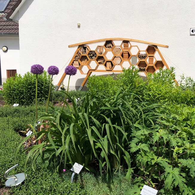 Botanischer Garten Wilhelmshaven