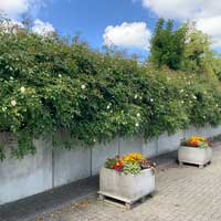 Botanischer Garten Wilhelmshaven